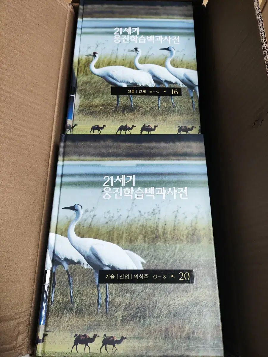 21世紀 Woongjin 学習百科事典 20巻 全集