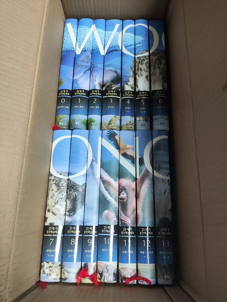 21世紀 Woongjin 学習百科事典 20巻 全集