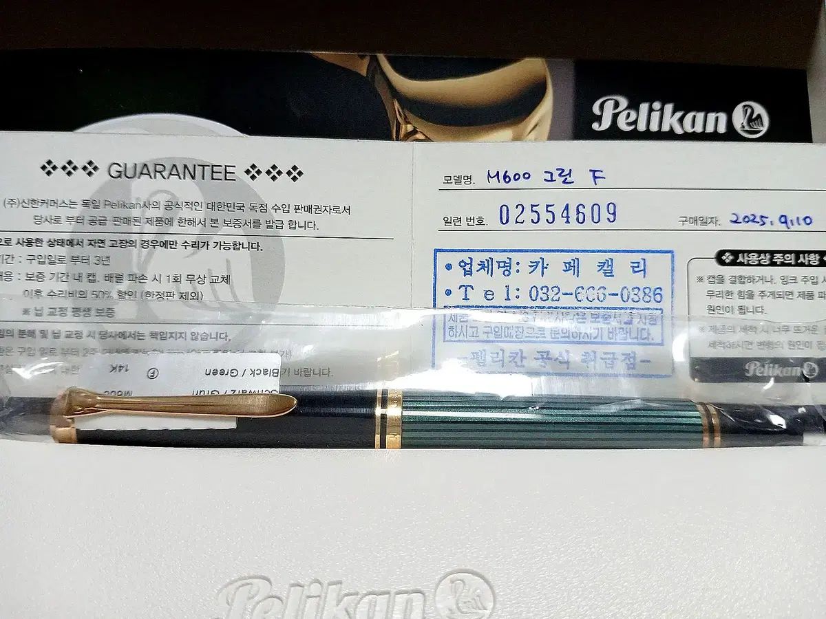 ペリカン M 600 グリーンストライプ 万年筆 Fニブ