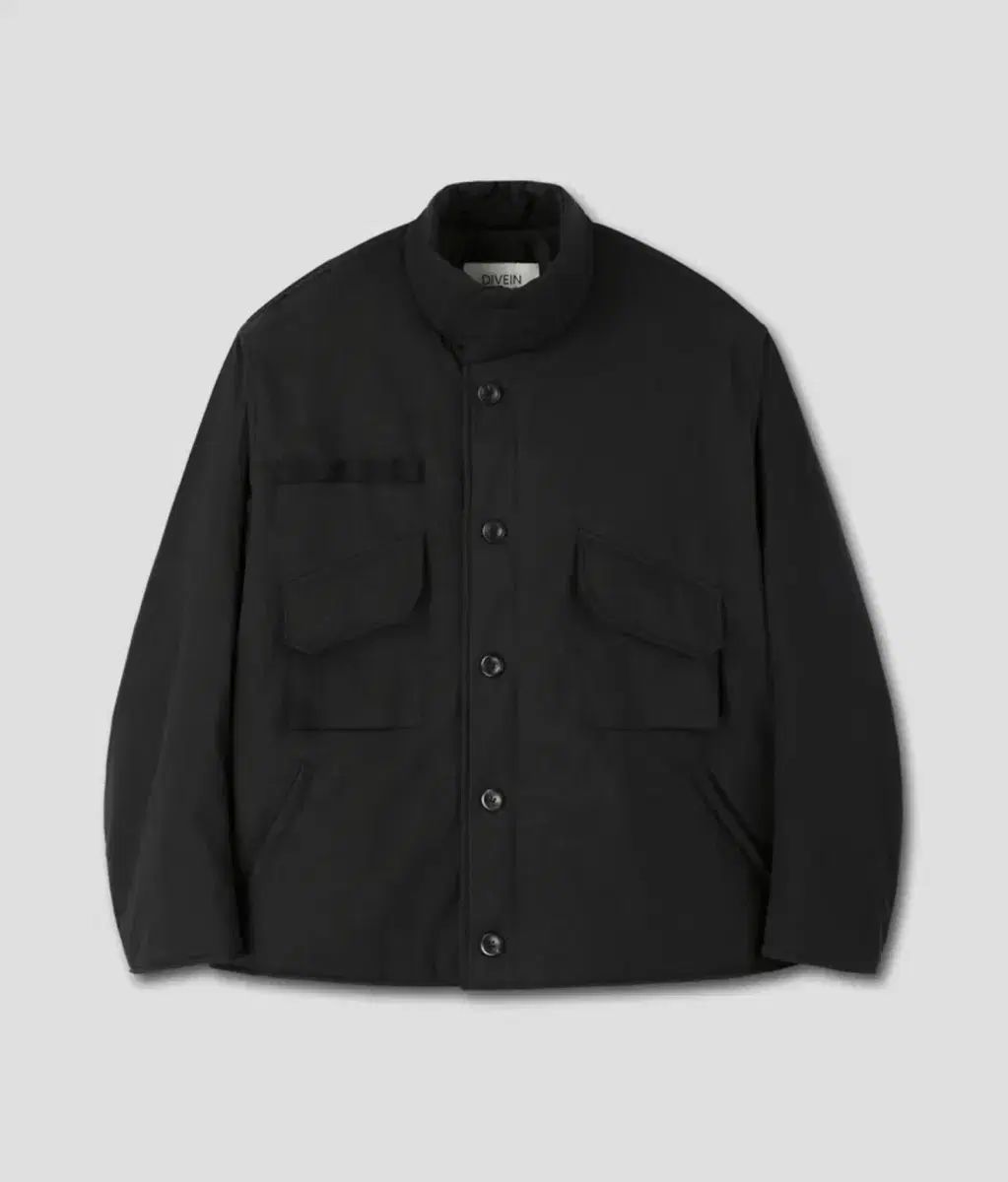 ダイブイン m69 ジャケット 2サイズ