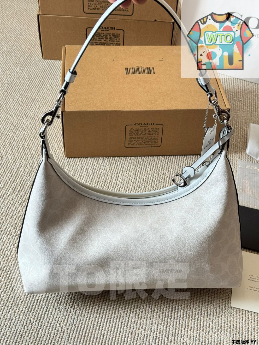 Juliet Hobo-WT0輸入