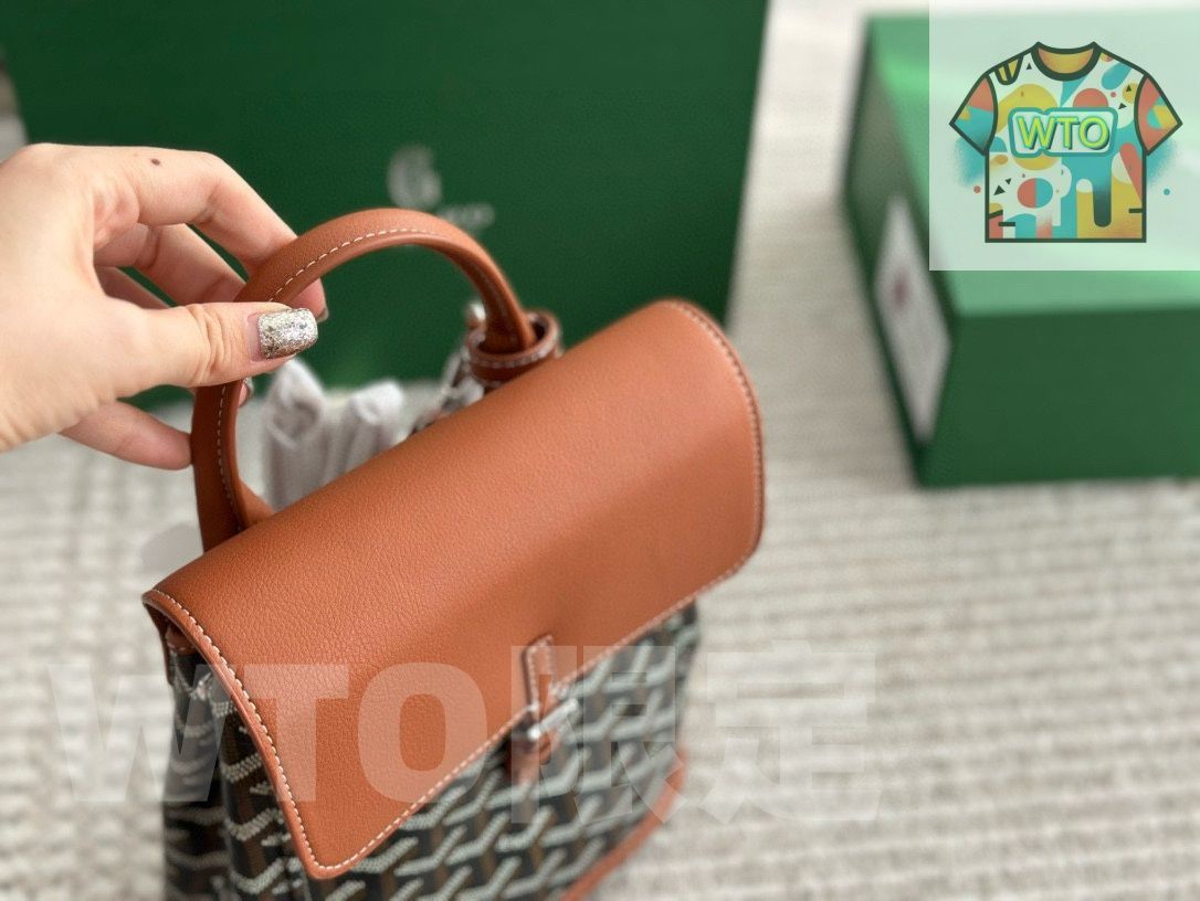 今日 Alpin mini Goyard ゴヤード ミニ両肩バッグ 20×23cm ~飽きないレジャーなモダン感~-WT0輸入-WTO輸入2