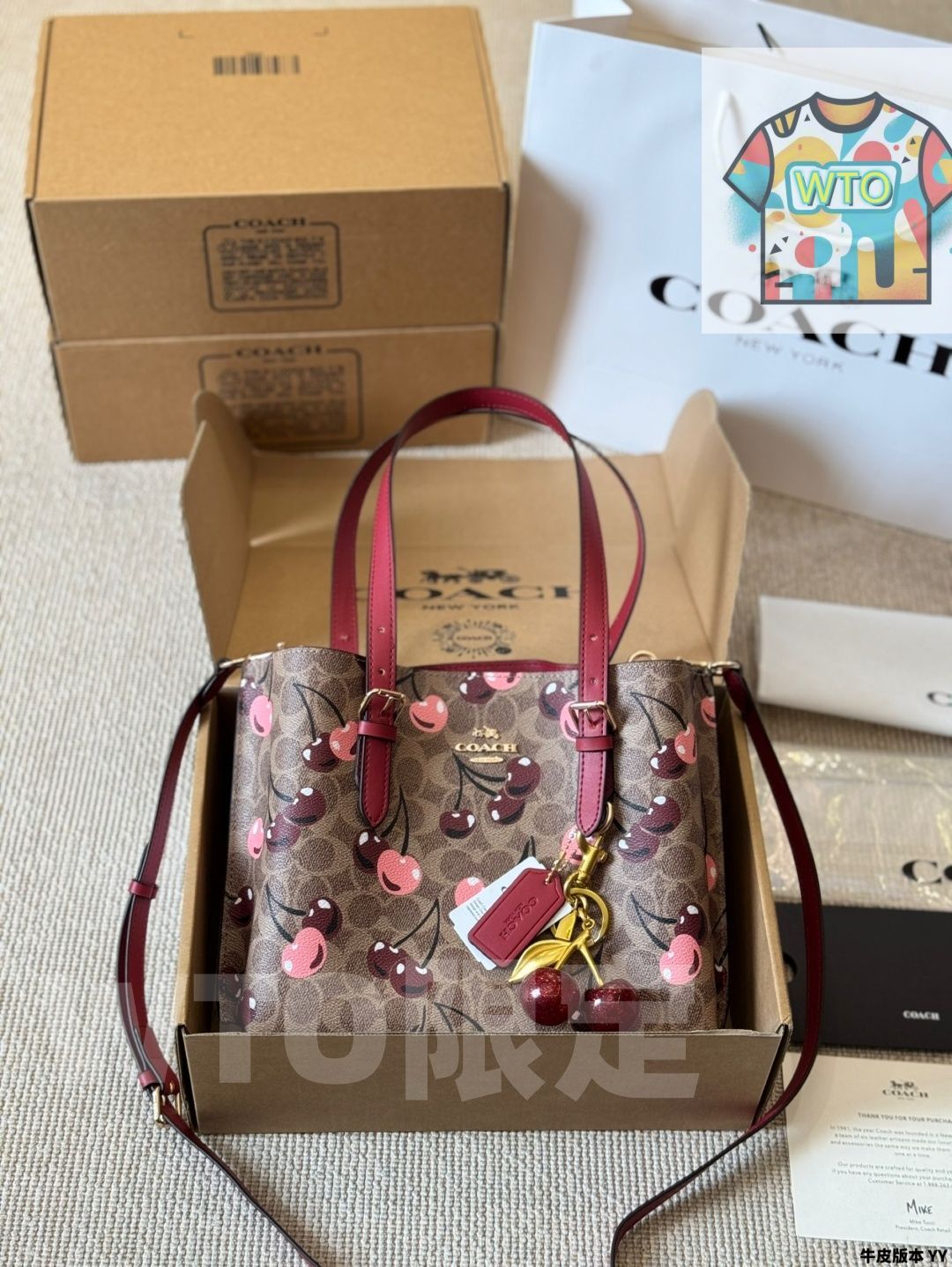 今日 Coach Mollie 25 トートバッグ 在庫 の な価格です-WTO輸入2