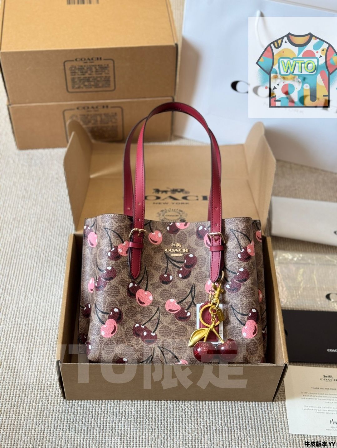 今日 Coach Mollie 25 トートバッグ 在庫 の な価格です-WTO輸入2