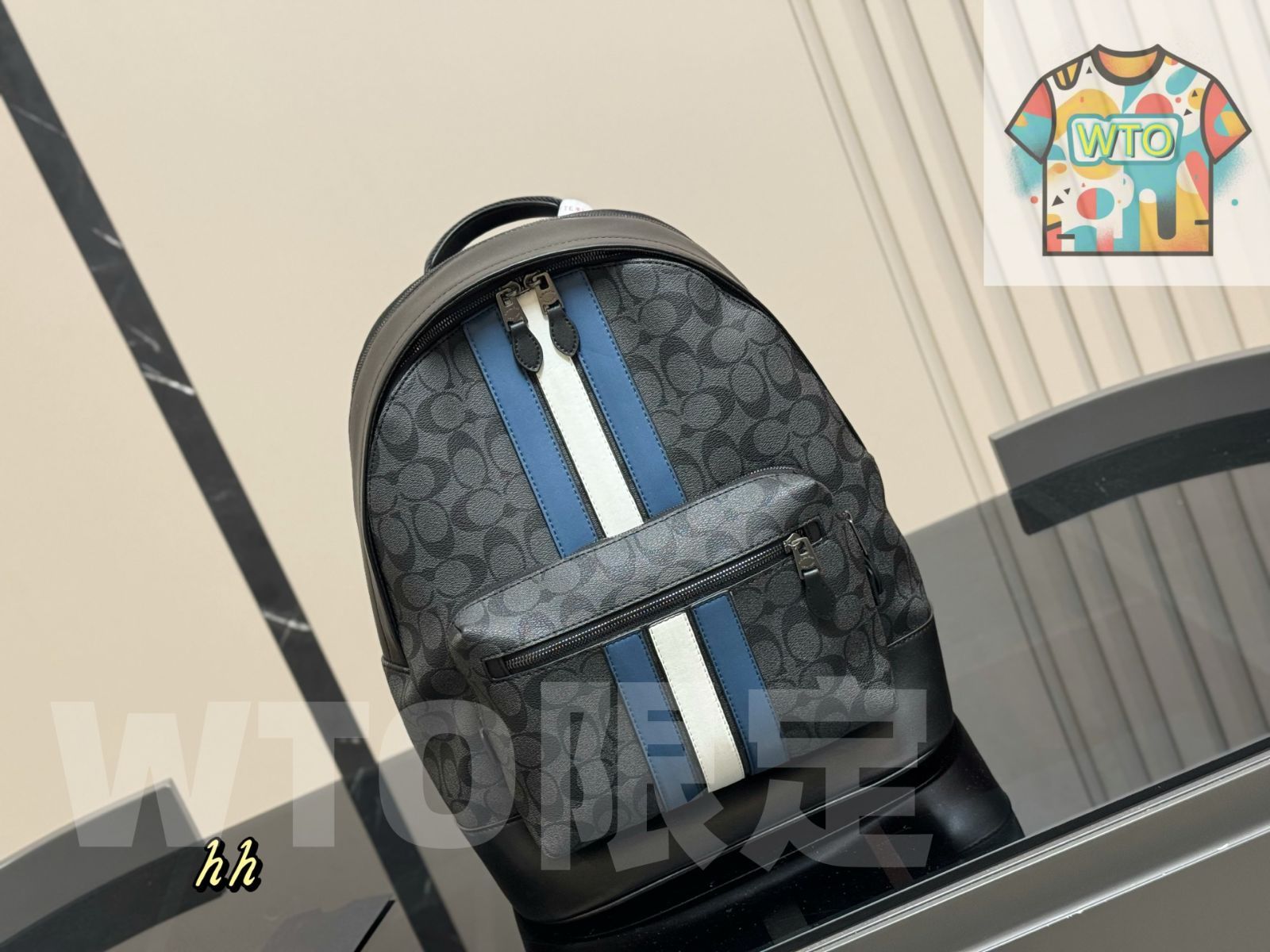 WTO通販 COACH メンズ バックパック 今在庫 価格-WTO輸入-VPT53