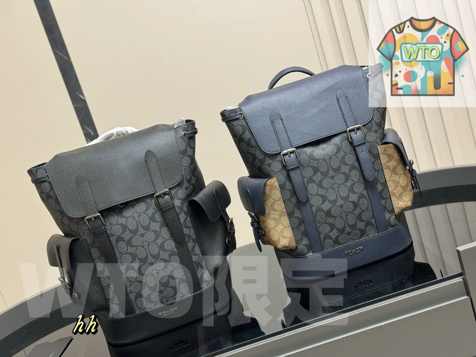 WTO通販 COACH メンズ バックパック 今在庫 価格-DYM23-WTO輸入-WLH16