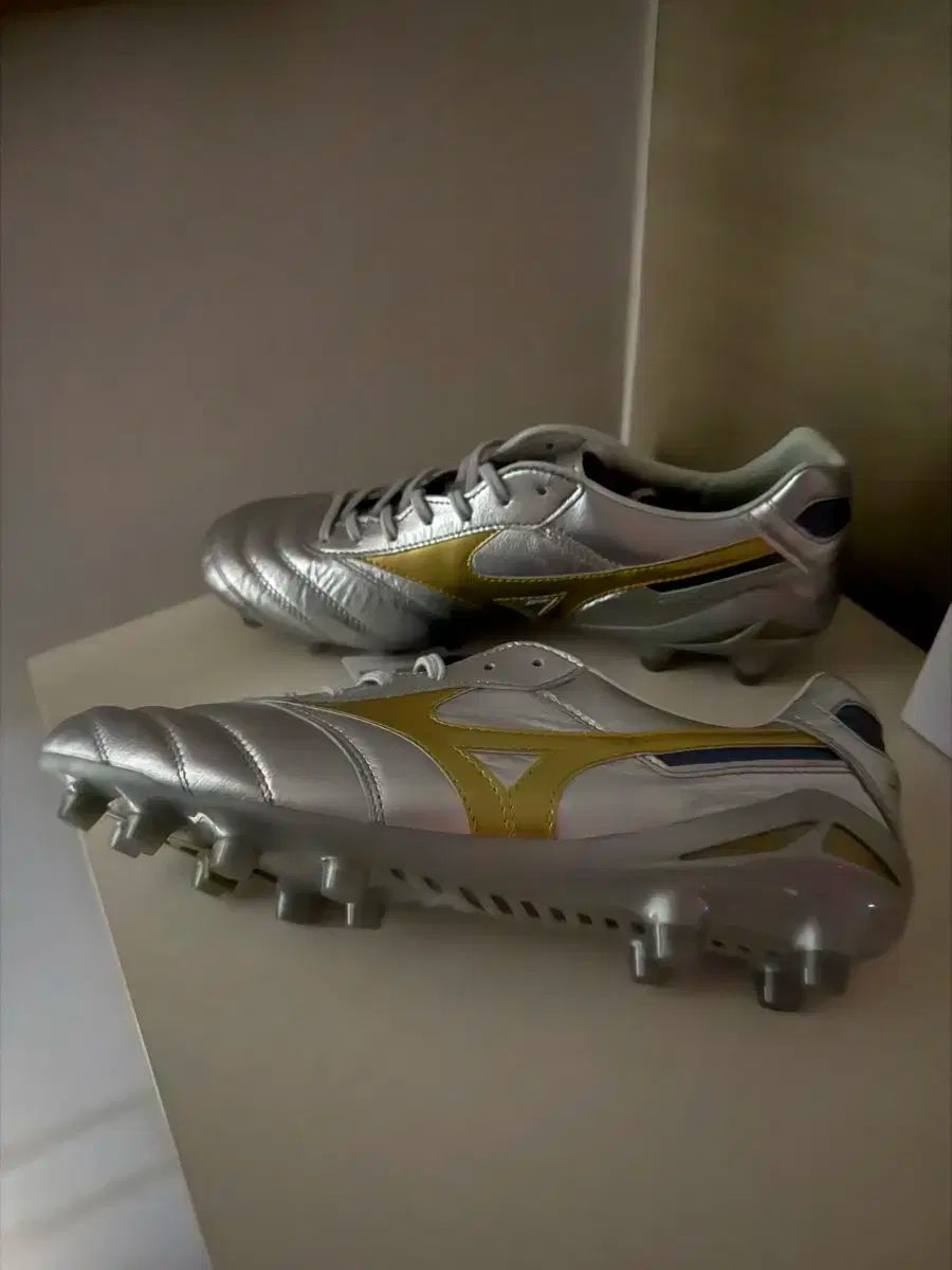 ミズノ モレリアDNA ジャパン 260