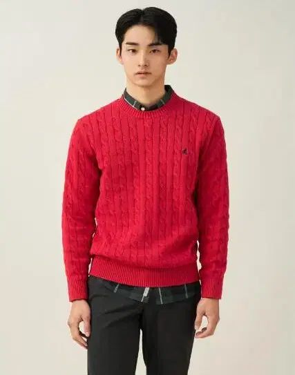 BEAN POLE ビーンポール Esssential コットン ケーブル ニット レッド XL 105