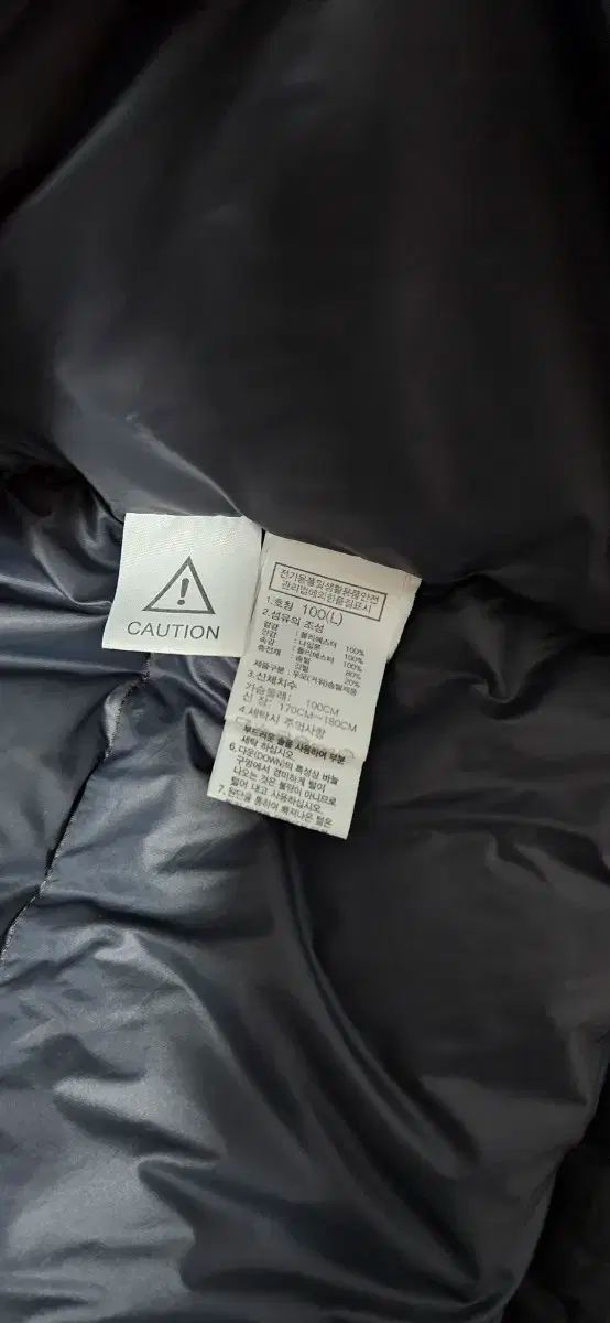 L ザノースフェイス