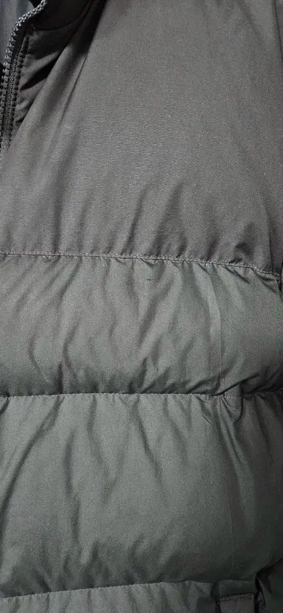 L ザノースフェイス