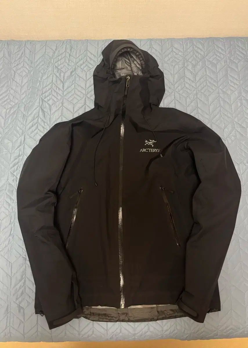 ARC TERYX アークテリクス ベータ LT large ₍ラージ