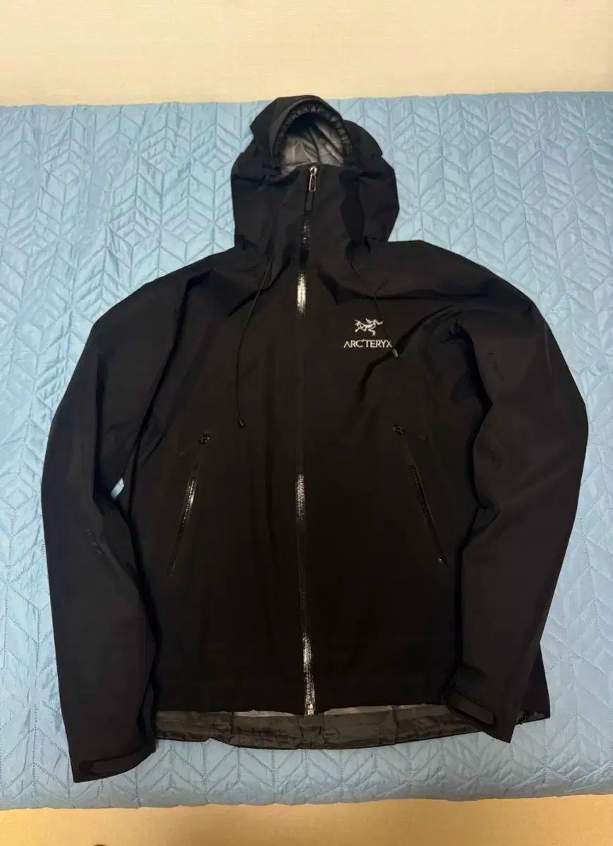ARC TERYX アークテリクス ベータ LT large ₍ラージ