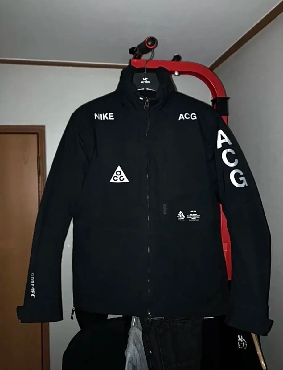 NIKE ACG ゴアテックス ダウン ジャケット