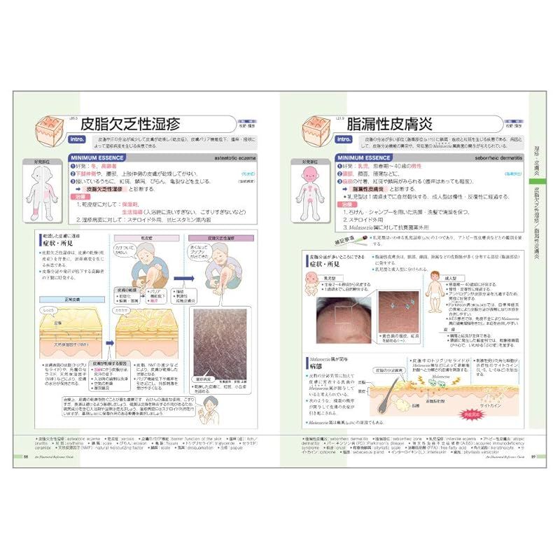 【美品】病気がみえる vol.1〜14 病気がみえる vol.14 皮膚科 第1版 | 医療情報科学研究所 |本 | 通販