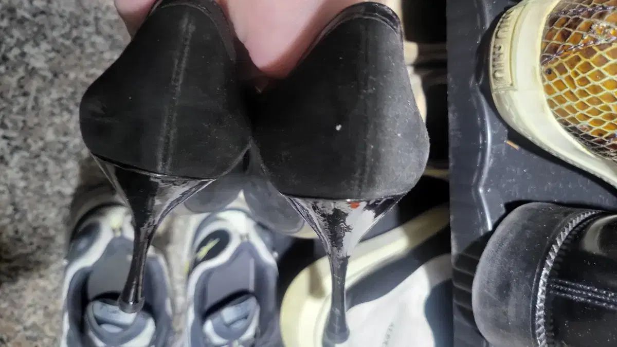 ドルチェ＆ガッバーナ レディース