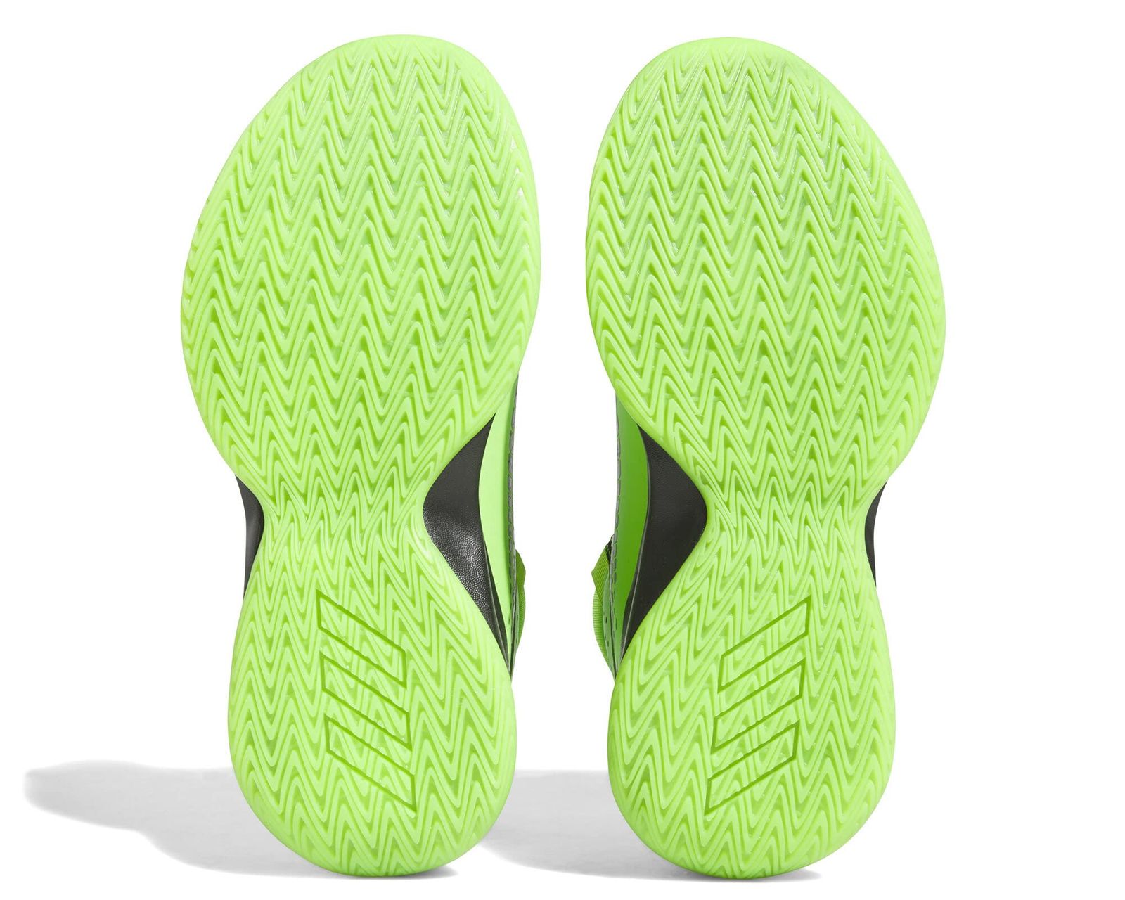 チームソーラーグリーン