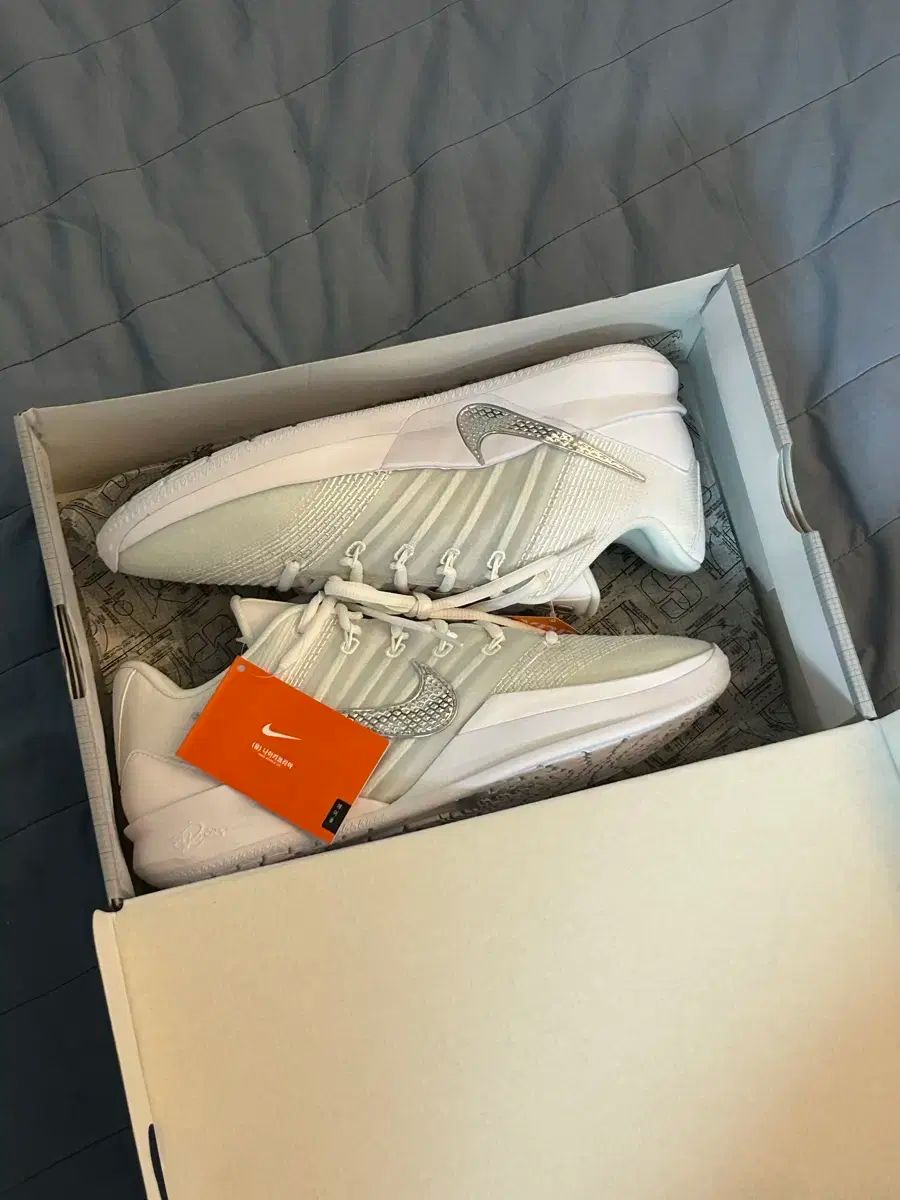 サブリナ3 280 バスケシューズ