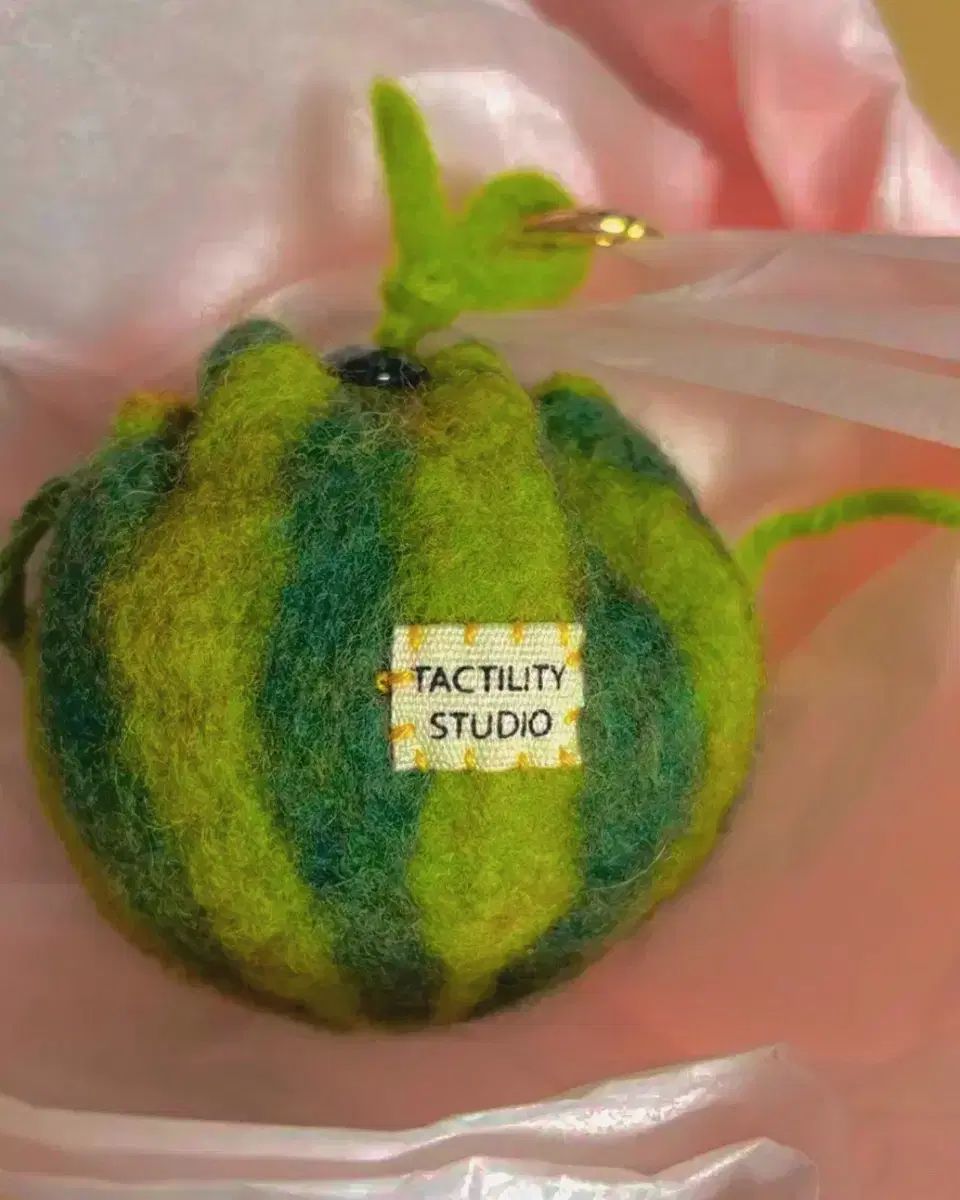 タクティリティスタジオ スイカ ポーチ