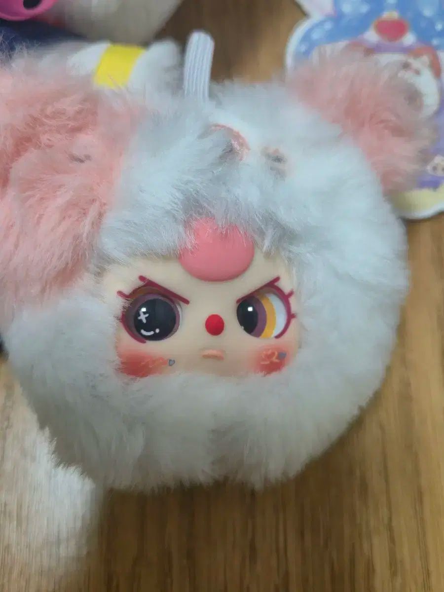 猫クローゼット シークレット