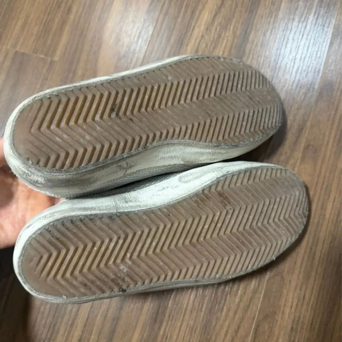 ゴールデングース