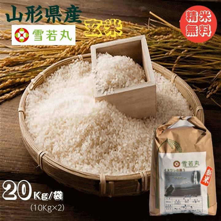 食品 【激安】20kg、希少の静岡県産、令和7年度産新米 玄米