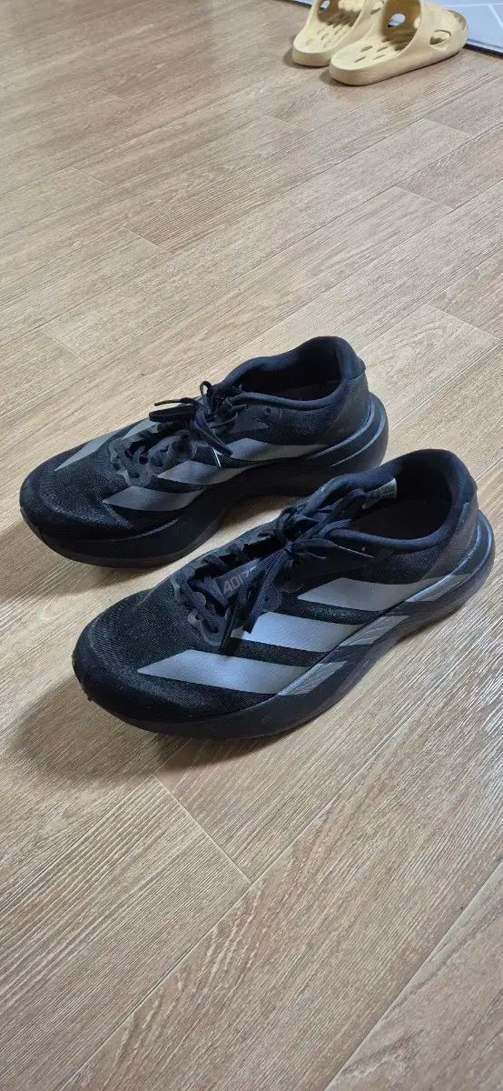 アディダス エボSL Evo SL 270