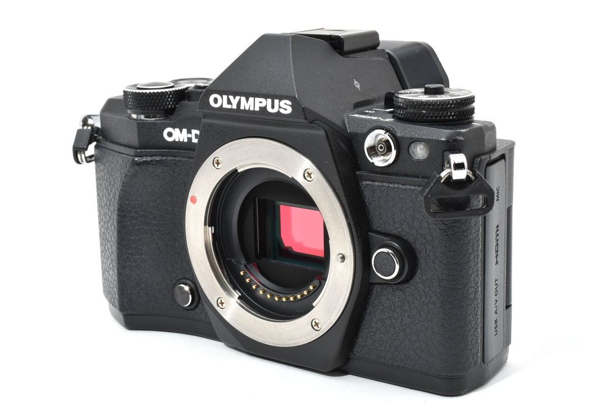 実用品 OLYMPUS OM-D E-M5 Mark II ブラック 充電器付き YM4493 179