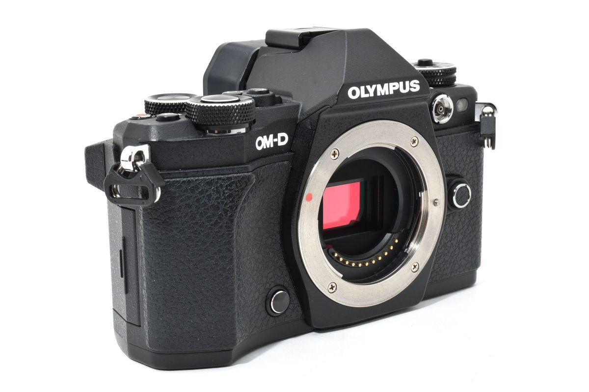実用品 OLYMPUS OM-D E-M5 Mark II ブラック 充電器付き YM4493 179 ANARI_COM_TR