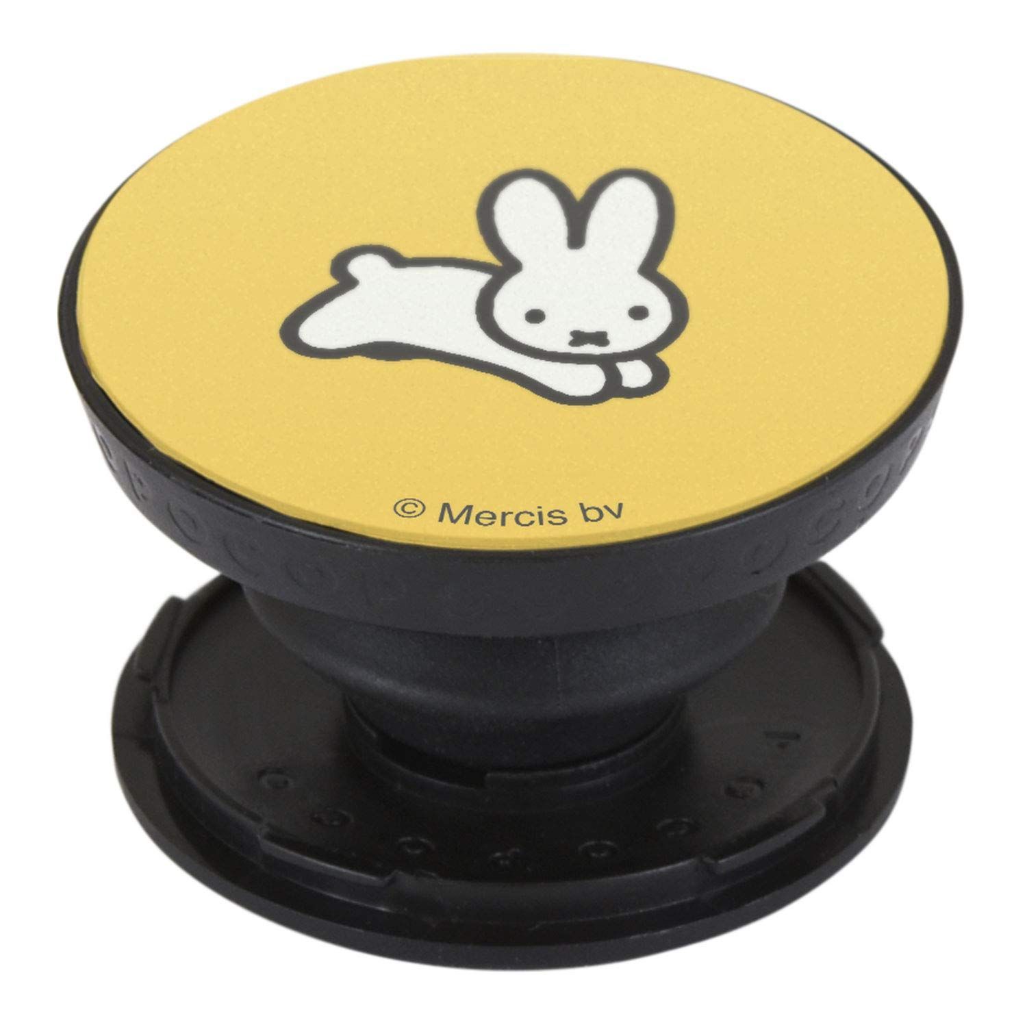 駒台甲府式ハンドボール育成プログラム DVD