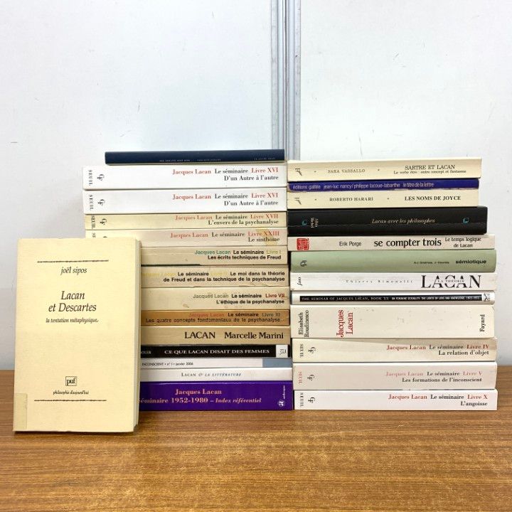 01 ! ラカンなどフランス語の哲学 精神分析の洋書 27冊セット 本 ジャック ラカン フロイト 思想 心理学 言語学 B
