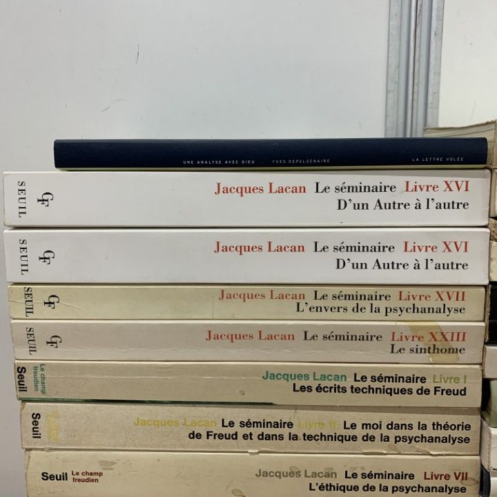 01 ! ラカンなどフランス語の哲学 精神分析の洋書 27冊セット 本 ジャック ラカン フロイト 思想 心理学 言語学 B