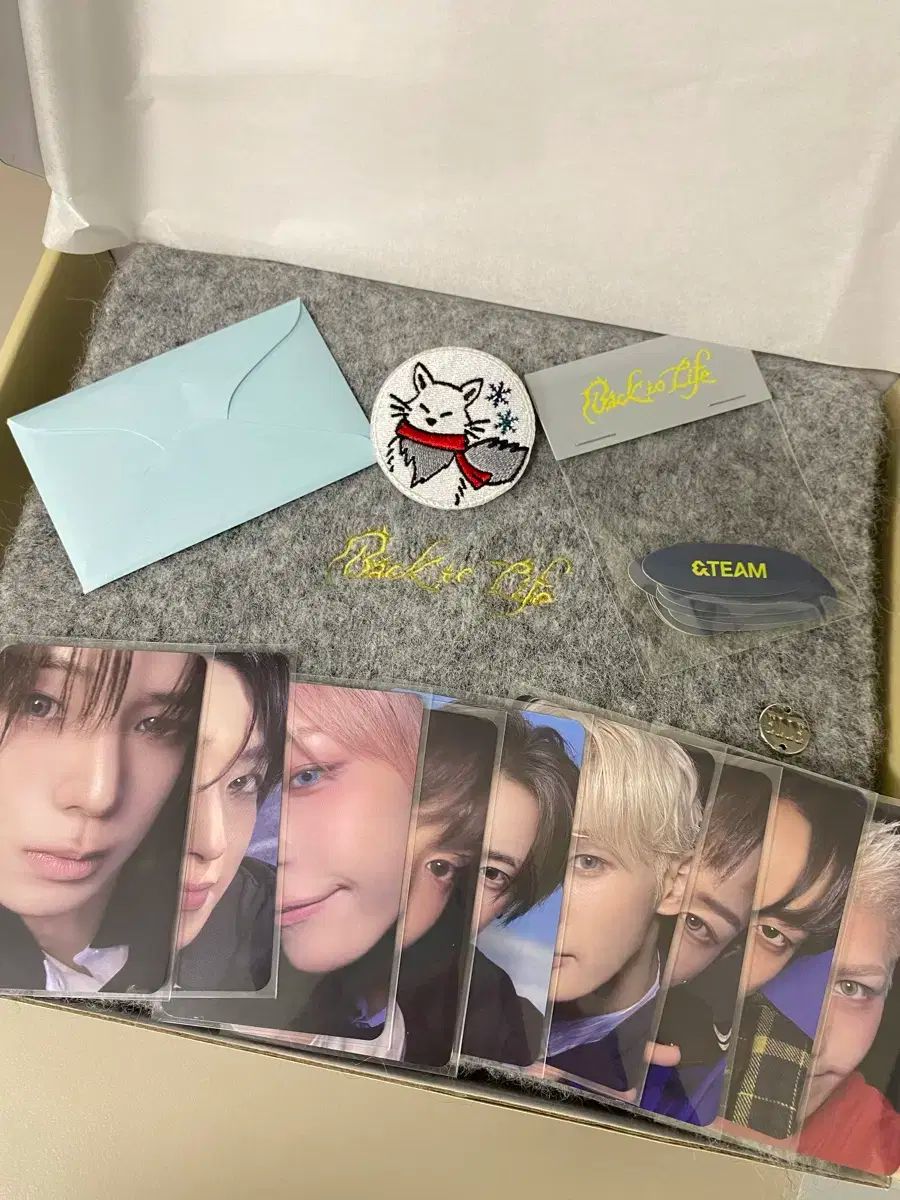 앤 AND 팀 쇼ケース トレカのみ まとめ