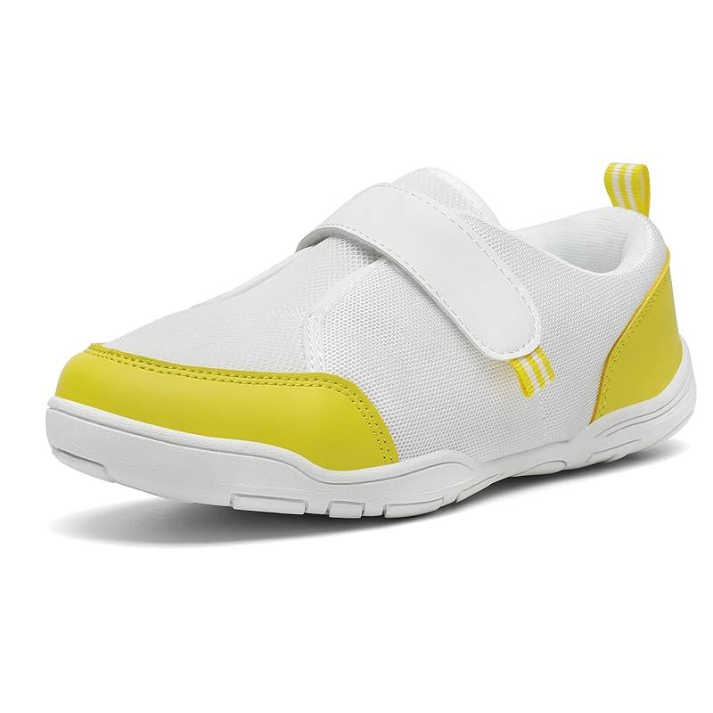 標本】スーザンシールドテールドスコーピオン 昆虫標本 サソリ