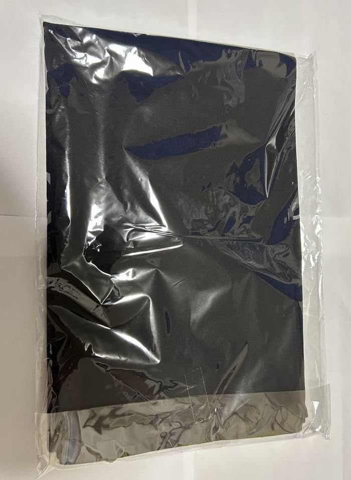 BRAHMAN ブラフマン 2025 グッズ 六梵全書 Tシャツ XL