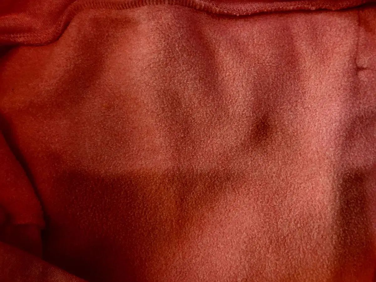 起毛 フードTシャツ