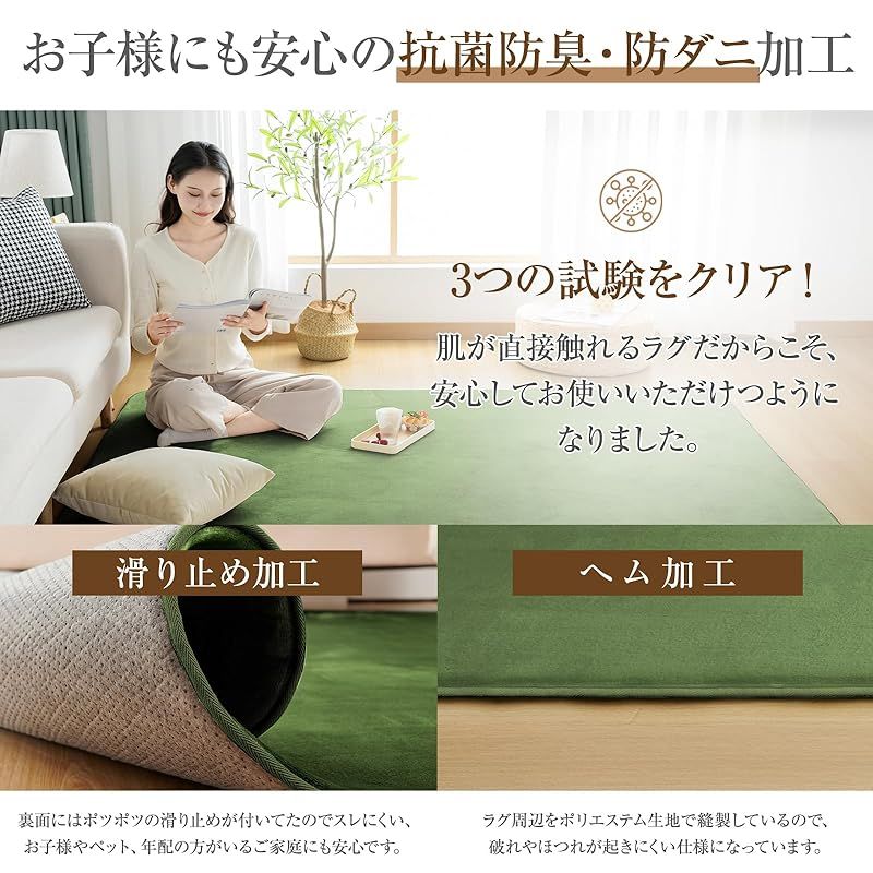 Softime カーペット