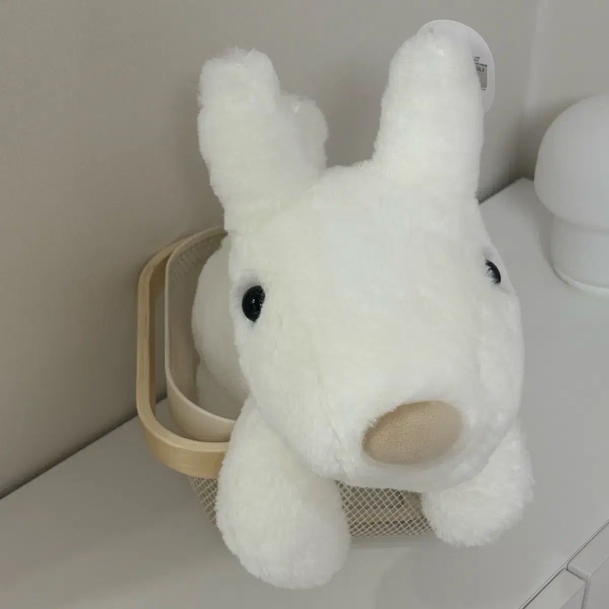 TIM WALKER PICTURES teNeues 梱包箱付き