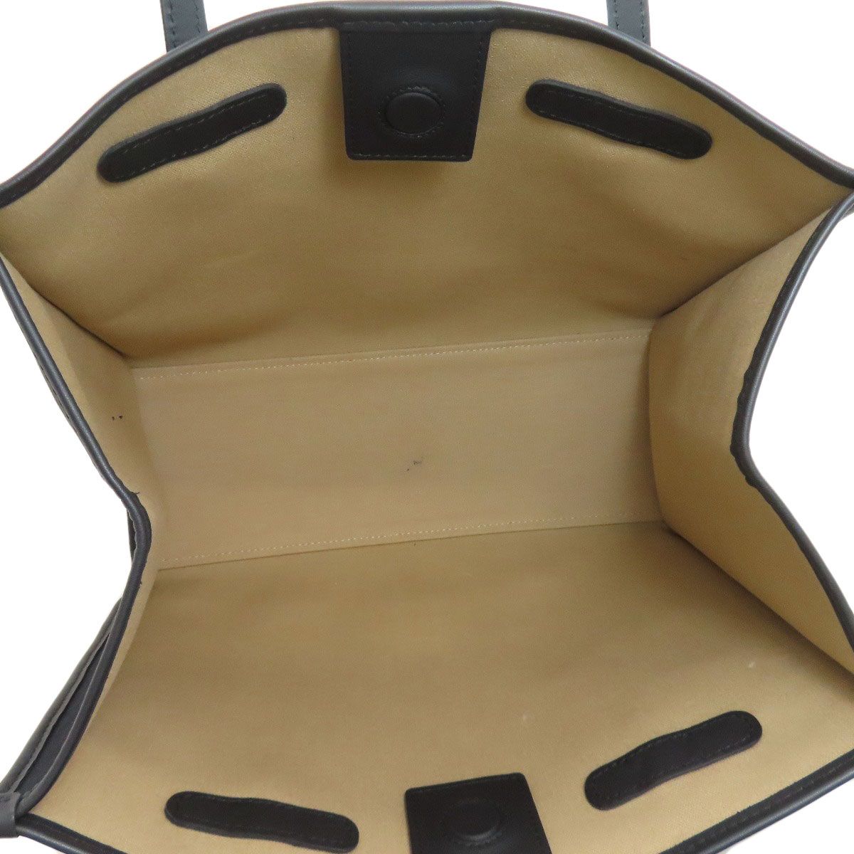 ジャンニキアリーニ