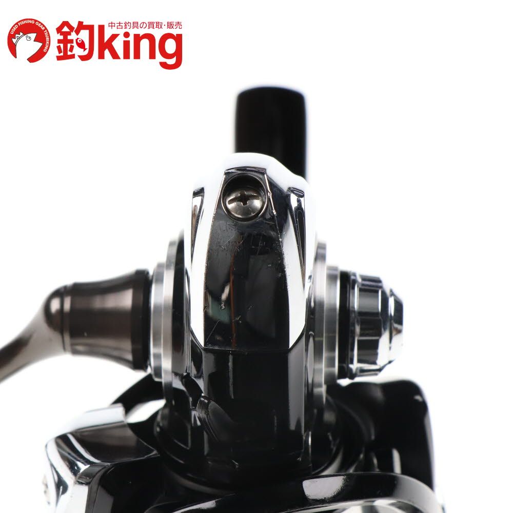 SZ004M アオリイカ