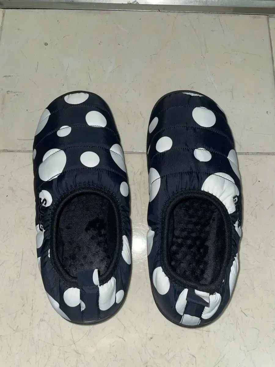 スブドット250-260