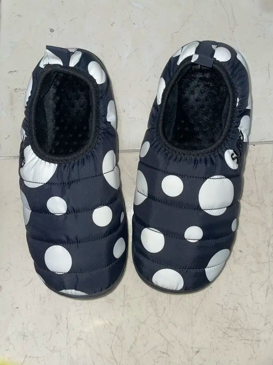 スブドット250-260