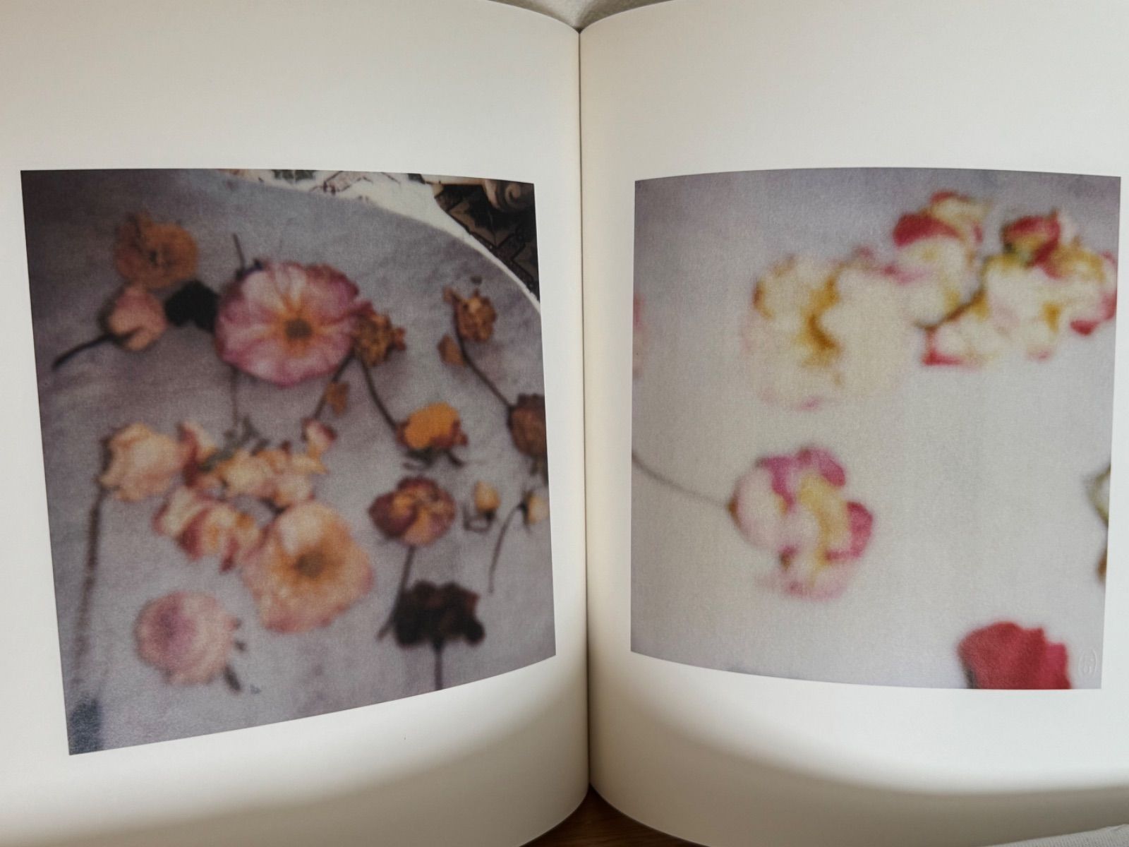 Cy Twombly サイ・トゥオンブリー Photographs 写真集 サイ・トゥオンブリー 写真集 Cy Twombly Photographs : Lyrical