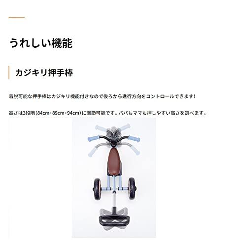 へんしん! サンライダーNEO