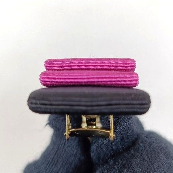 極美品 サルヴァトーレフェラガモ バレッタ ヘアアクセ ヘアピン ヴァラ リボン FERRAGAMO Salvatore Ferragamo サルヴァトーレフェラガモ バレッタ