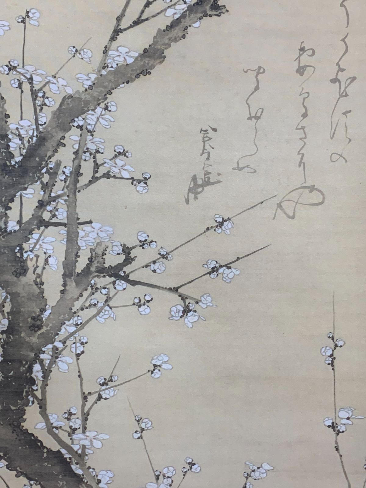 掛け軸】130 葛飾北斎「白梅図」工芸 江戸後期の浮世絵師 #茶掛 #掛軸