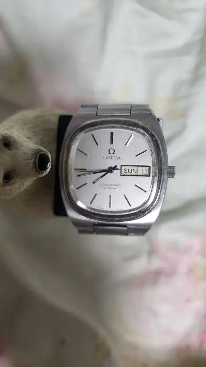 シーマスター テレビーオ