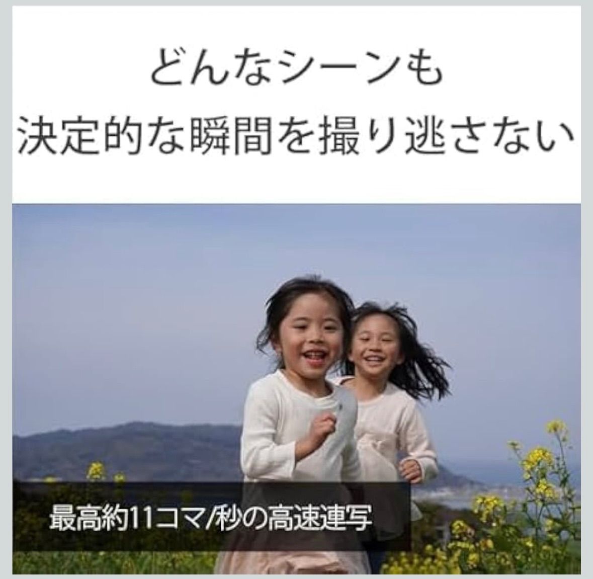 ミラーレス一眼カメラ ILCE