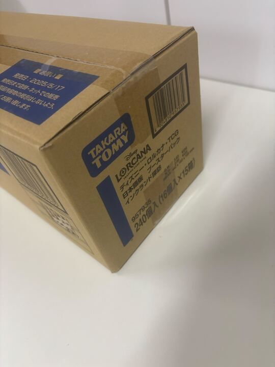 インクランド探訪 ディズニーロルカナ