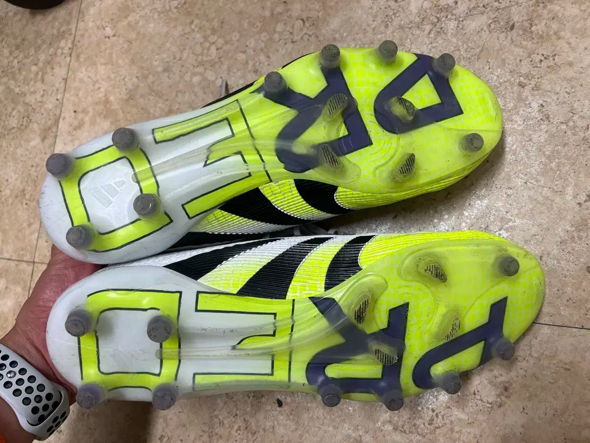 プレデター エリート