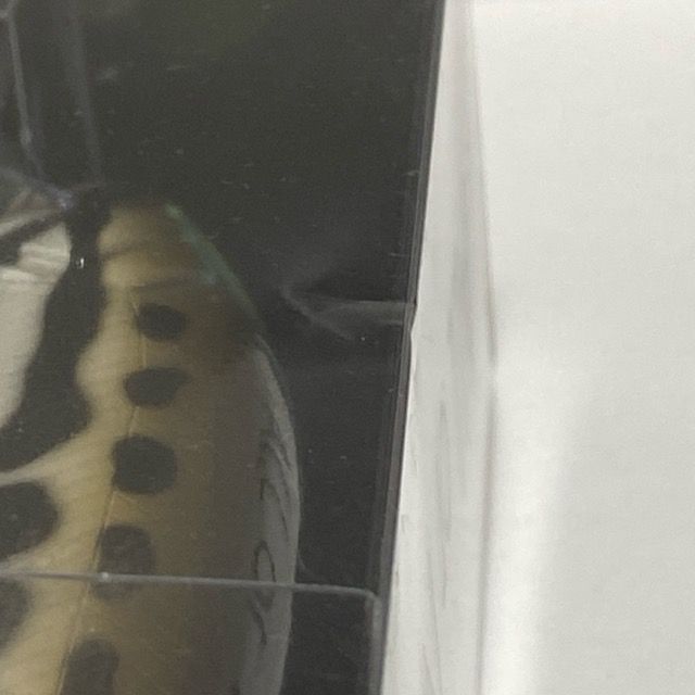 Jスネークヘッド